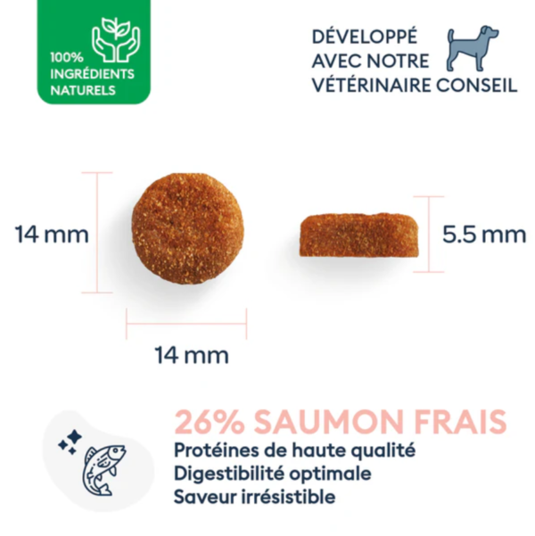 Dry Dog Food for Adult Dogs (Medium Breed) - Image 2