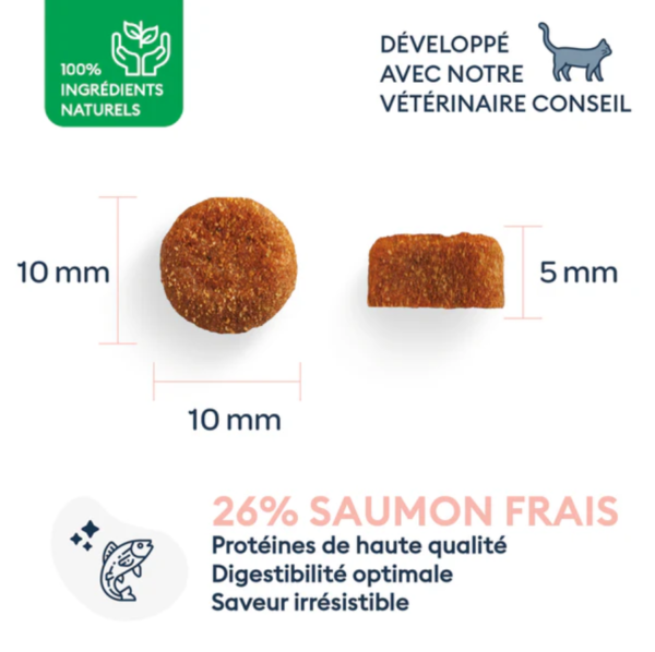 Dry Cat Food for Strerilized Adult Cats - Image 2